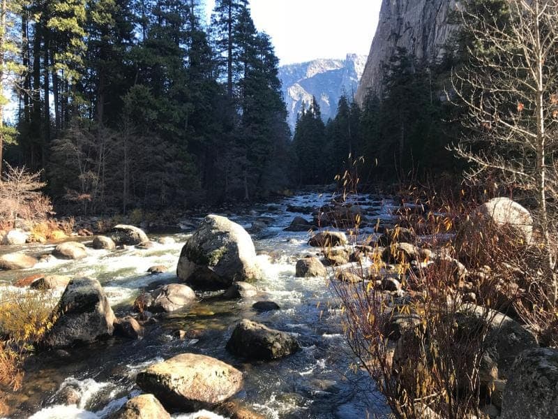 Picture from Yosemite National Park